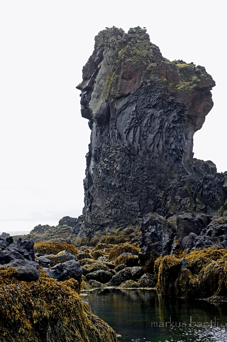 _DSC5600.JPG
