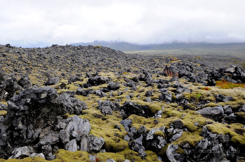 _DSC5612.JPG - Lavafeld