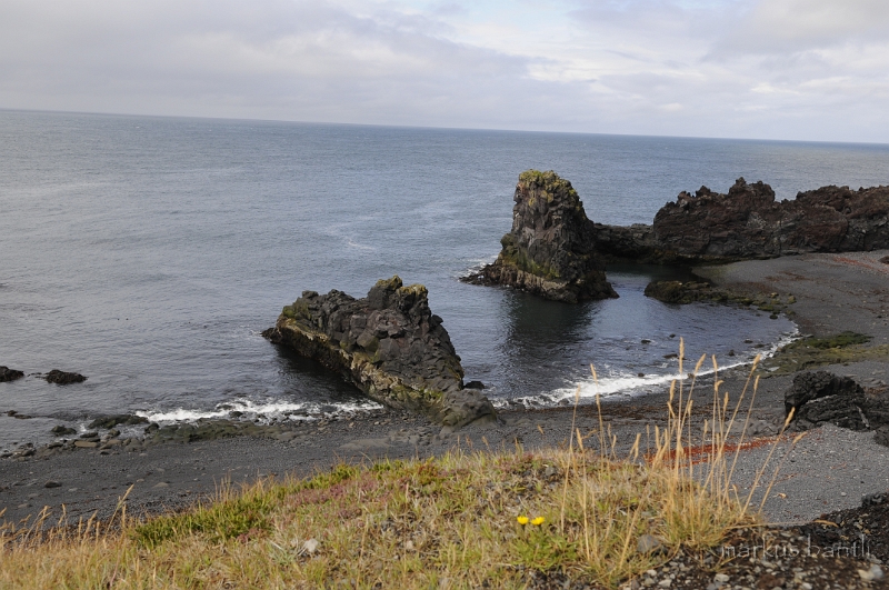 _DSC5624.JPG