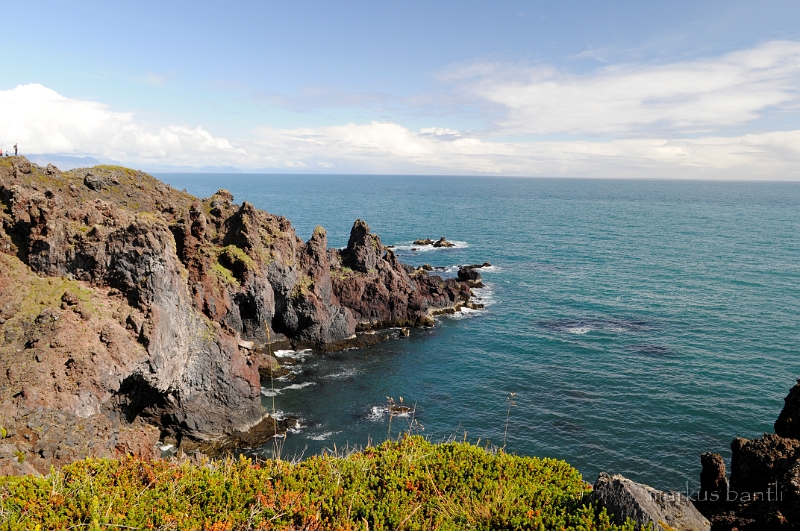 _DSC5655.JPG