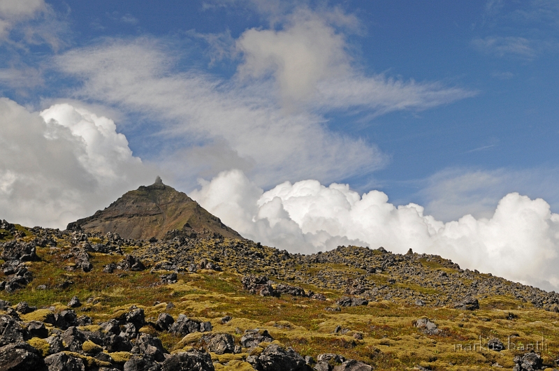 _DSC5658.JPG