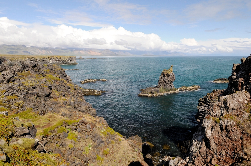 _DSC5660.JPG