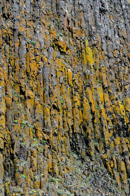 _DSC5773.JPG