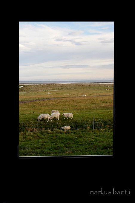 _DSC5866.JPG - Blick aus dem Hotelzimmer