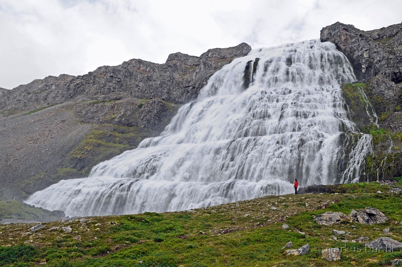 _DSC5975.JPG