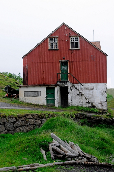 _DSC6155.JPG