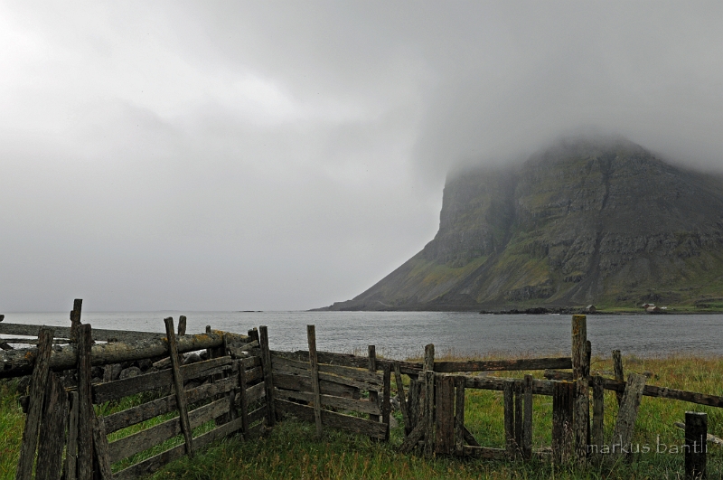 _DSC6166.JPG