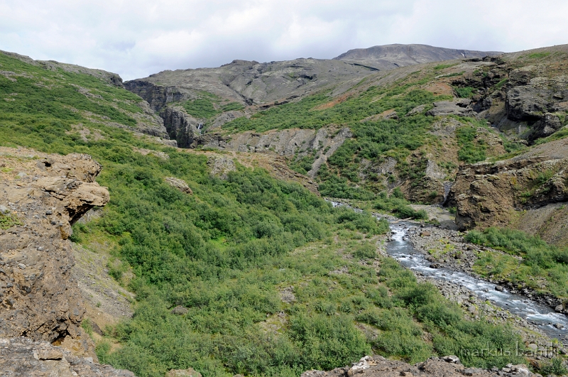 _DSC6205.JPG