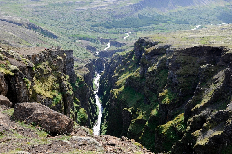 _DSC6228.JPG
