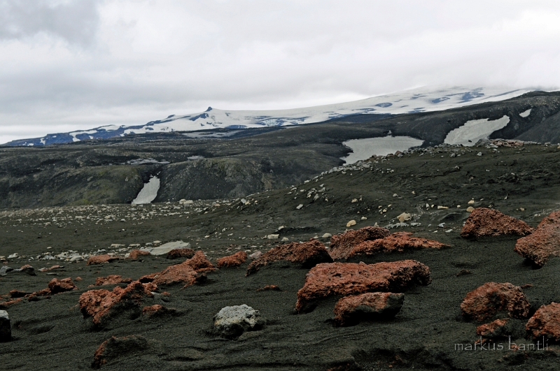 _DSC6315.JPG