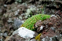 _DSC5575