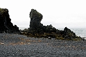 _DSC5578