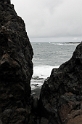 _DSC5581