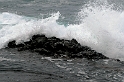 _DSC5589