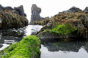 _DSC5594
