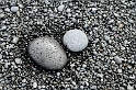 _DSC5606