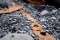 _DSC5609