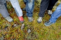 _DSC5619