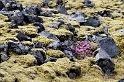 _DSC5627