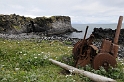 _DSC5641