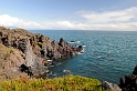 _DSC5655