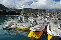 _DSC5667