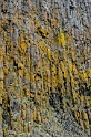 _DSC5773