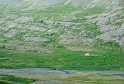 _DSC5794