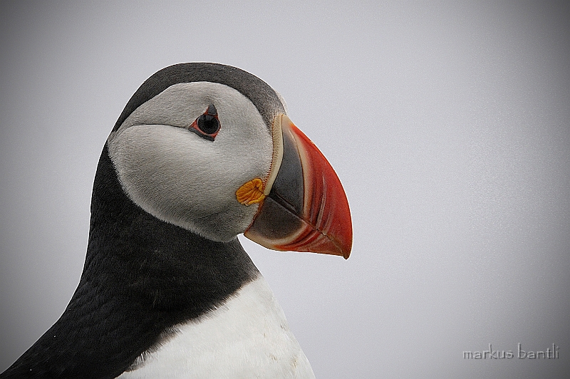 _DSC0724.jpg