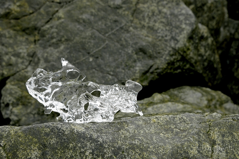 _DSC0768.jpg