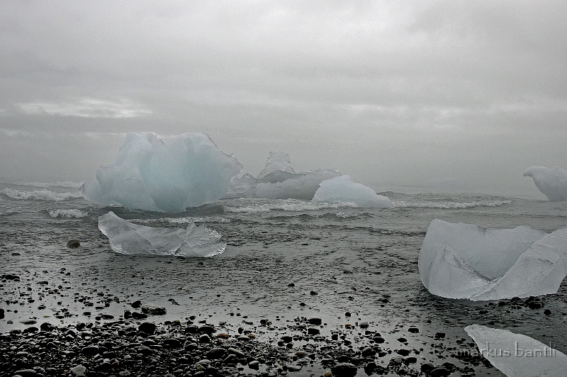 _DSC0785.jpg