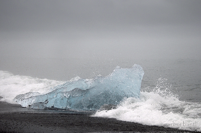 _DSC0798.jpg
