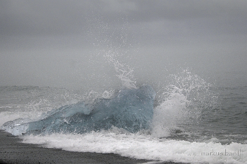 _DSC0800.jpg