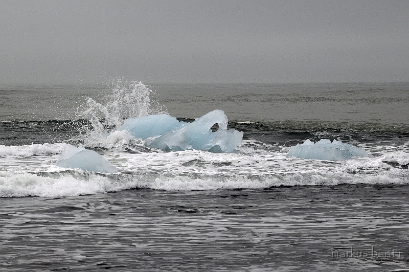 _DSC0840.jpg