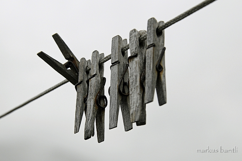 _DSC0884.jpg