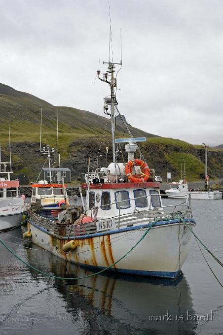 _DSC0906.jpg