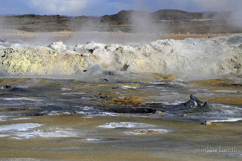_DSC1004.jpg