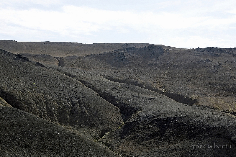 _DSC1074.jpg