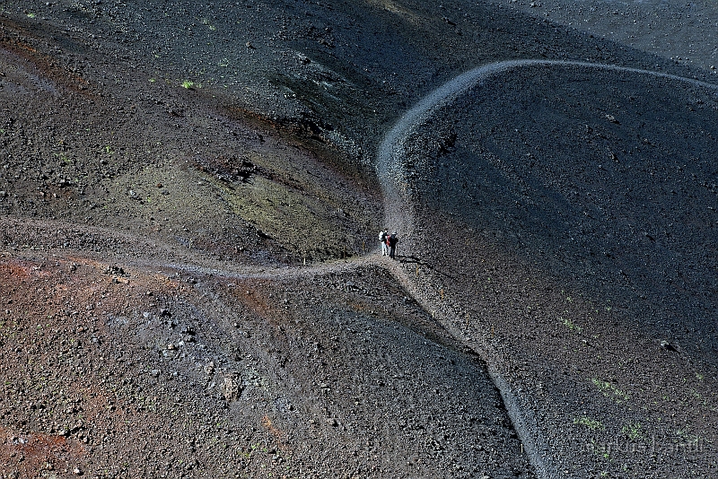 _DSC5487.jpg