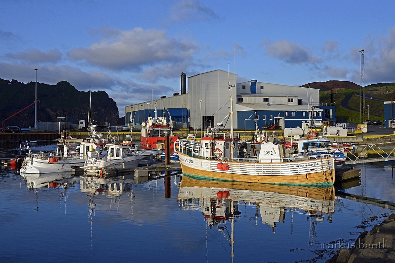 _DSC5568.jpg