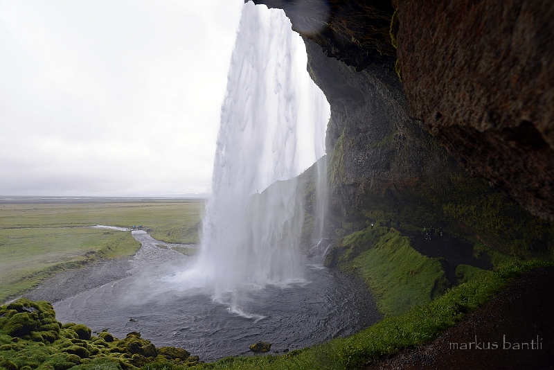 _DSC5621.jpg