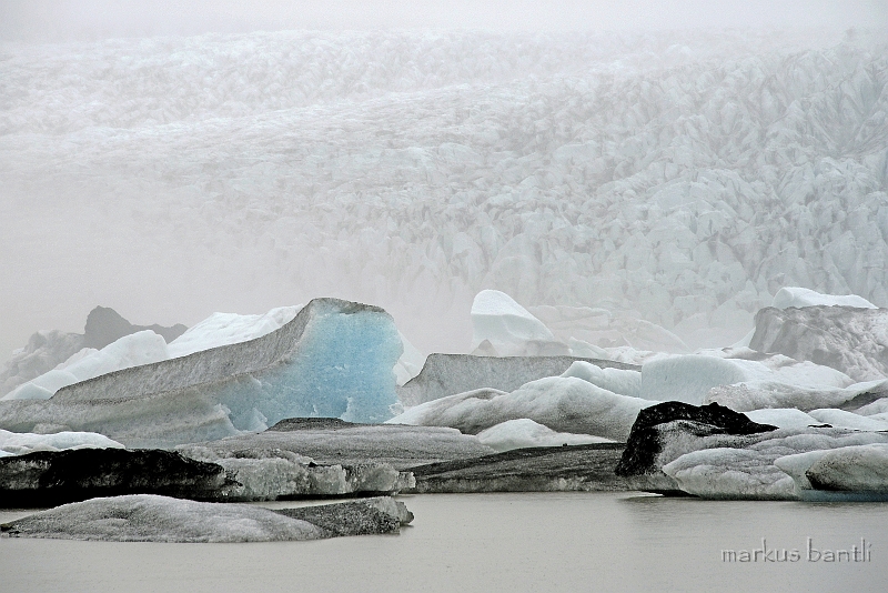 _DSC5775.jpg