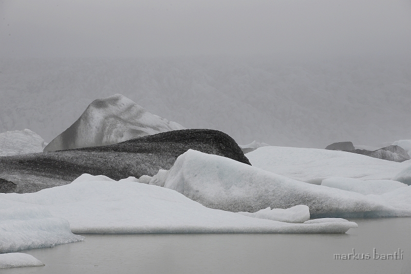 _DSC5784.jpg