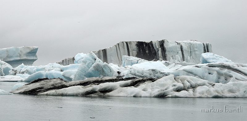 _DSC5826.jpg