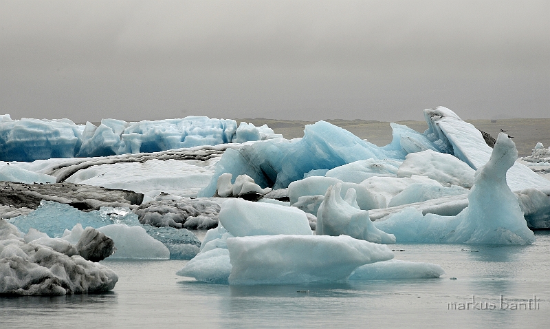 _DSC5832.jpg