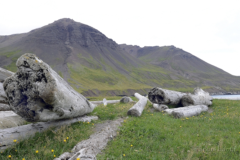 _DSC6045.jpg
