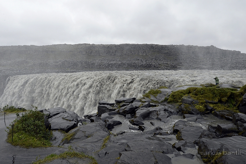 _DSC6217.jpg