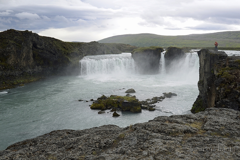 _DSC6305.jpg