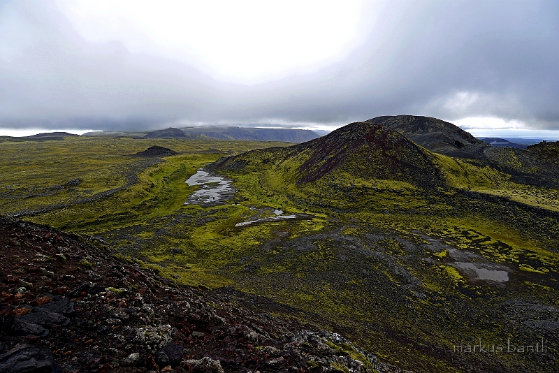 _DSC6694.jpg