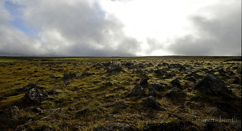 _DSC6727.jpg